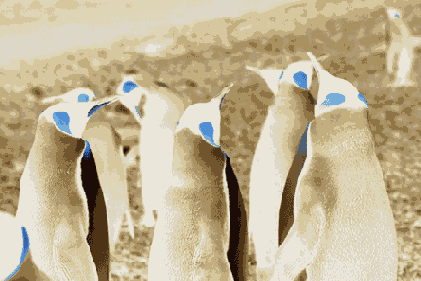   Adobe Photoshop 7