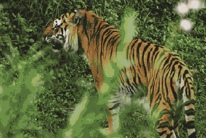   Adobe Photoshop 7