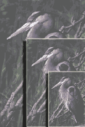   Adobe Photoshop 7
