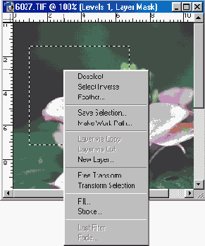   Adobe Photoshop 7