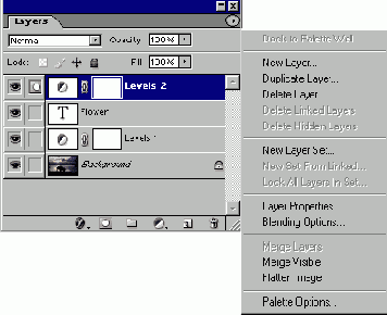   Adobe Photoshop 7