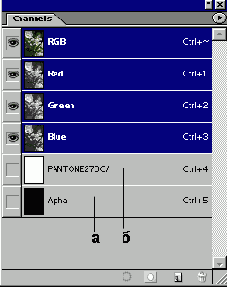 
  Adobe Photoshop 7
