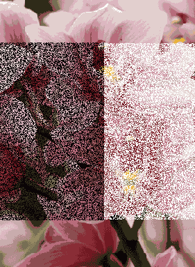
  Adobe Photoshop 7
