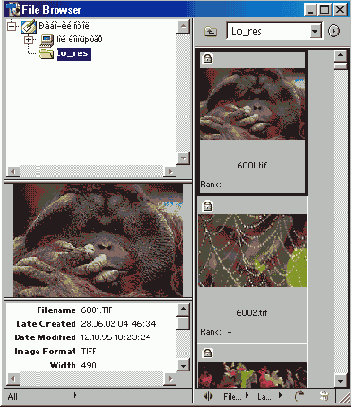 
  Adobe Photoshop 7
