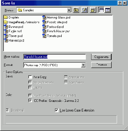 
  Adobe Photoshop 7
