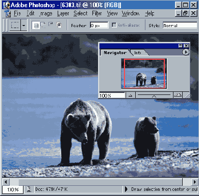 
  Adobe Photoshop 7

