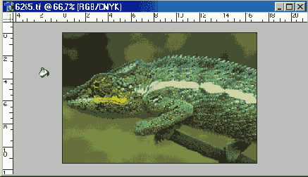 
  Adobe Photoshop 7
