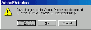 
  Adobe Photoshop 7
