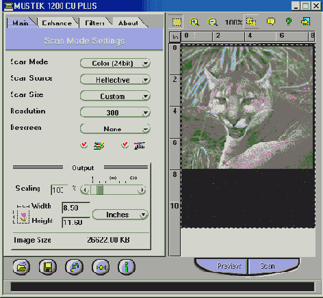
  Adobe Photoshop 7
