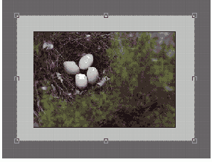   Adobe Photoshop 7
