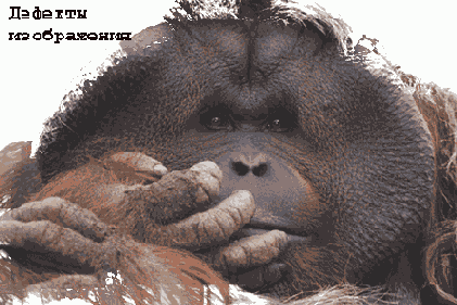   Adobe Photoshop 7
