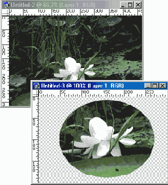   Adobe Photoshop 7
