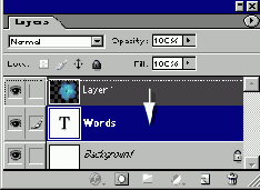   Adobe Photoshop 7
