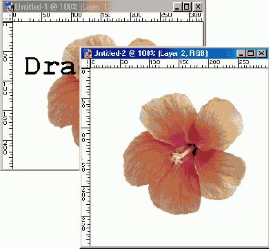   Adobe Photoshop 7
