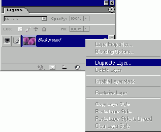   Adobe Photoshop 7
