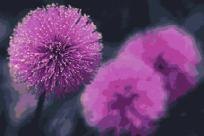   Adobe Photoshop 7
