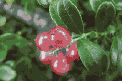   Adobe Photoshop 7
