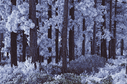   Adobe Photoshop 7
