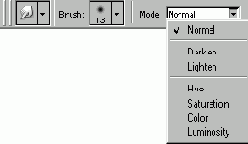   Adobe Photoshop 7
