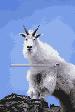   Adobe Photoshop 7
