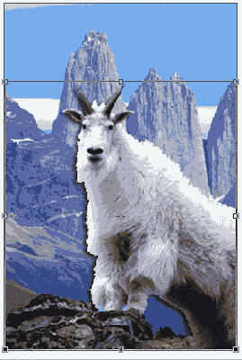   Adobe Photoshop 7
