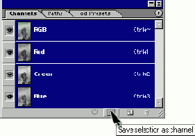   Adobe Photoshop 7
