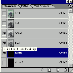   Adobe Photoshop 7
