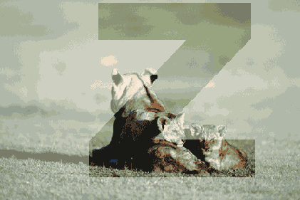 Самоучитель по Adobe Photoshop 7