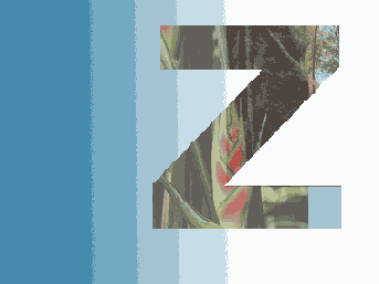   Adobe Photoshop 7