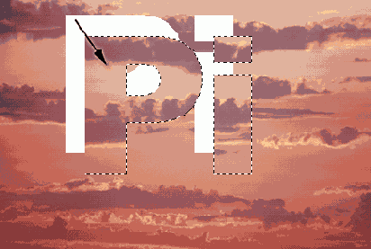   Adobe Photoshop 7