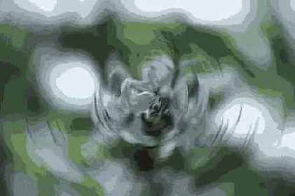   Adobe Photoshop 7
