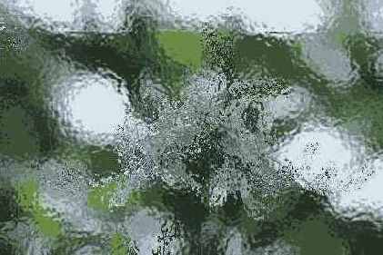   Adobe Photoshop 7

