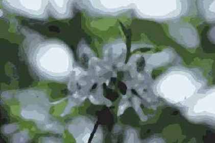 Самоучитель по Adobe Photoshop 7