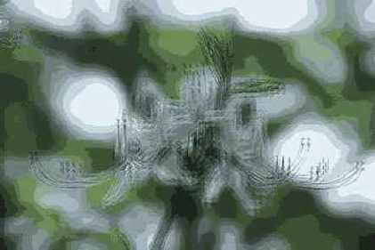   Adobe Photoshop 7
