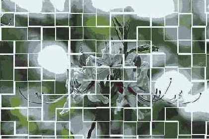   Adobe Photoshop 7
