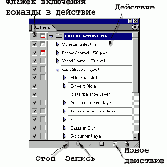   Adobe Photoshop 7

