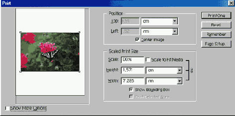   Adobe Photoshop 7
