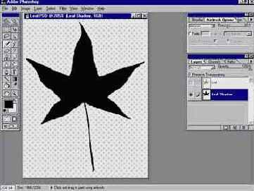   Adobe Photoshop