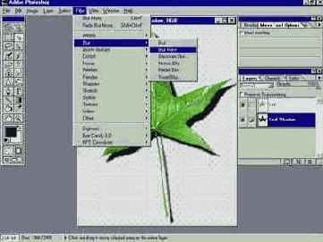   Adobe Photoshop