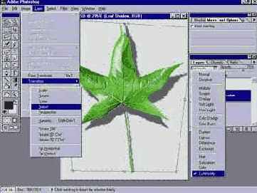   Adobe Photoshop