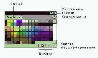      Photoshop
