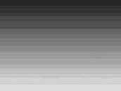   Photoshop
