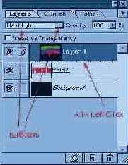   Photoshop
