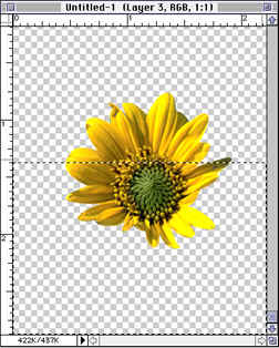   Photoshop
