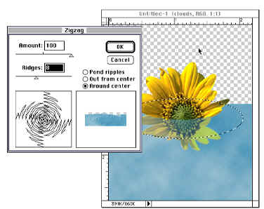   Photoshop
