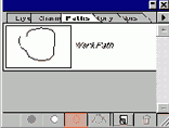   Photoshop
